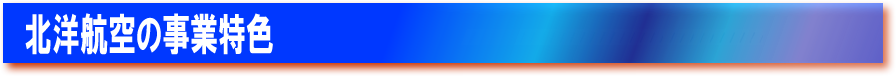 北洋航空の事業特色